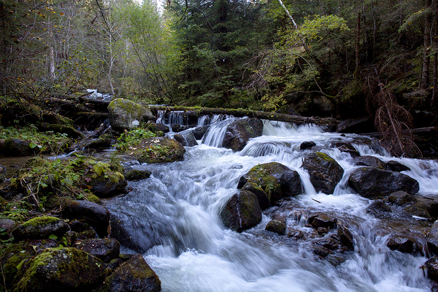 Granitzenbach ©Christian Pirkl